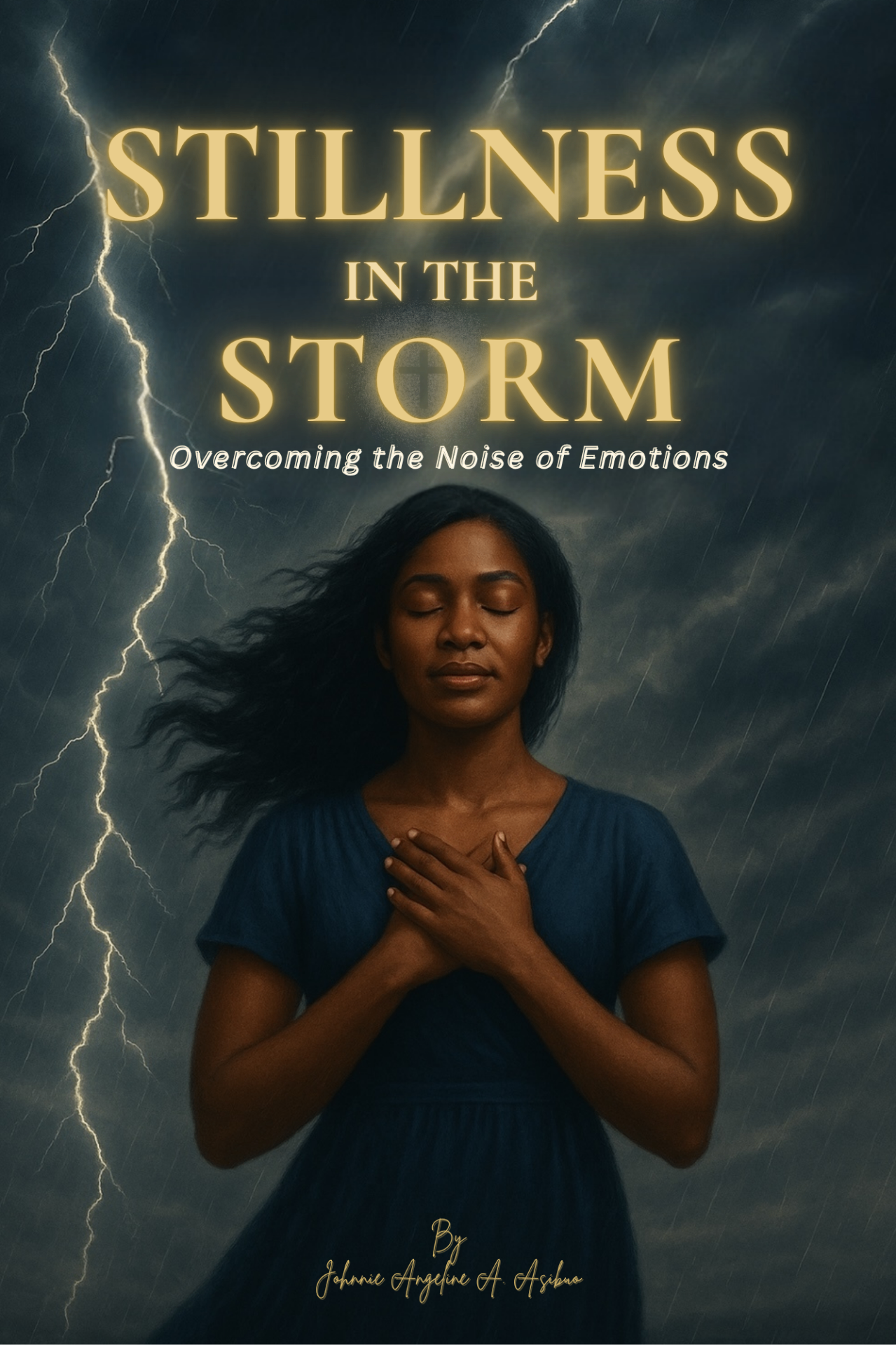Stillness in the Storm - book cover